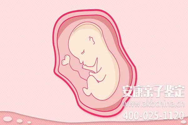 大理怀孕期间做亲子鉴定吗,怀孕如何做亲子鉴定吗 